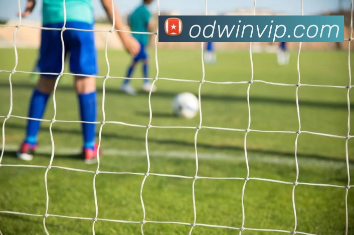 VIP资讯APP 封面图